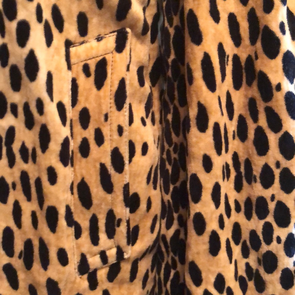 Jacket - Picture 3 of 4